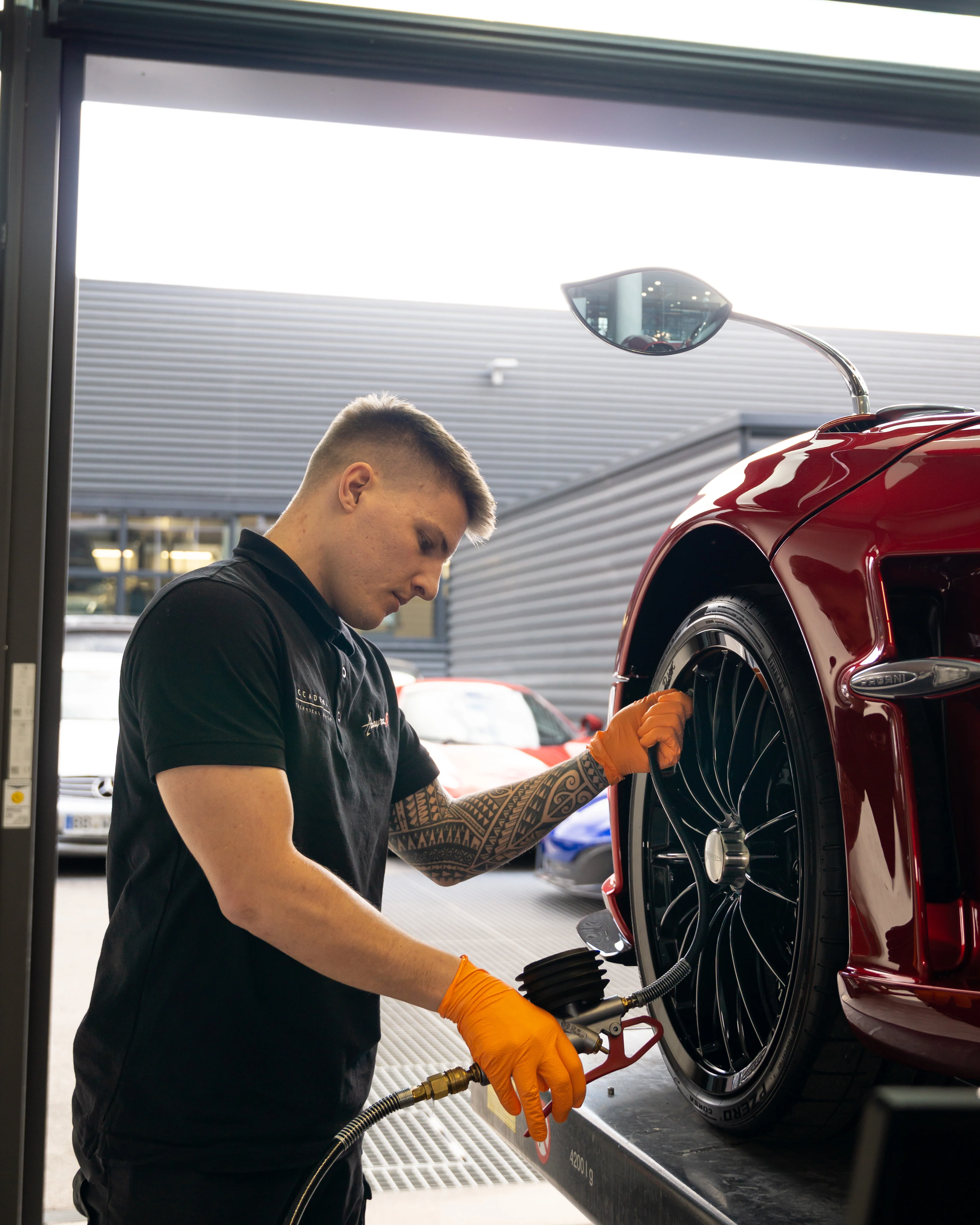 Pagani Puro – Bild 8