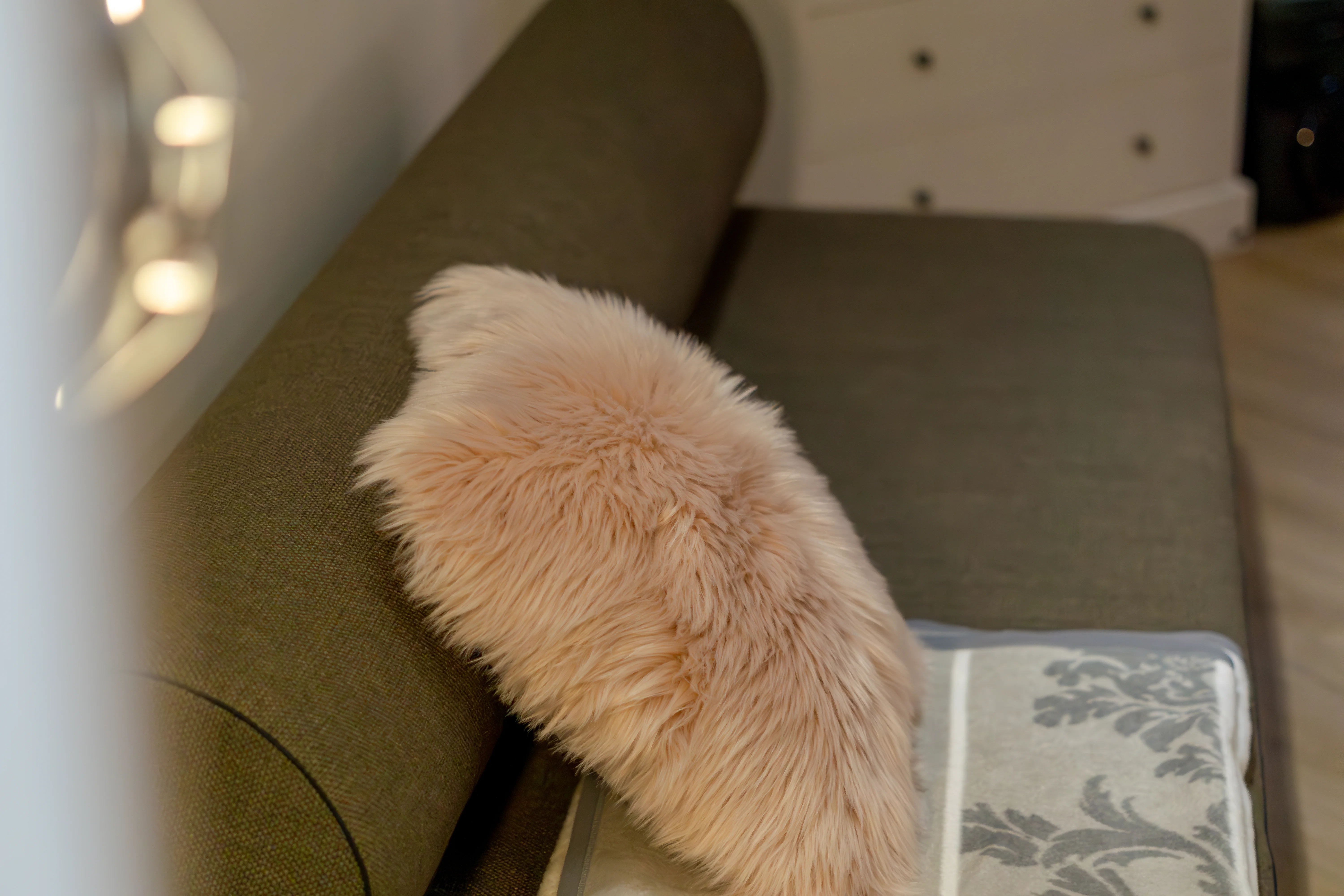 Real Estate – Bild 2