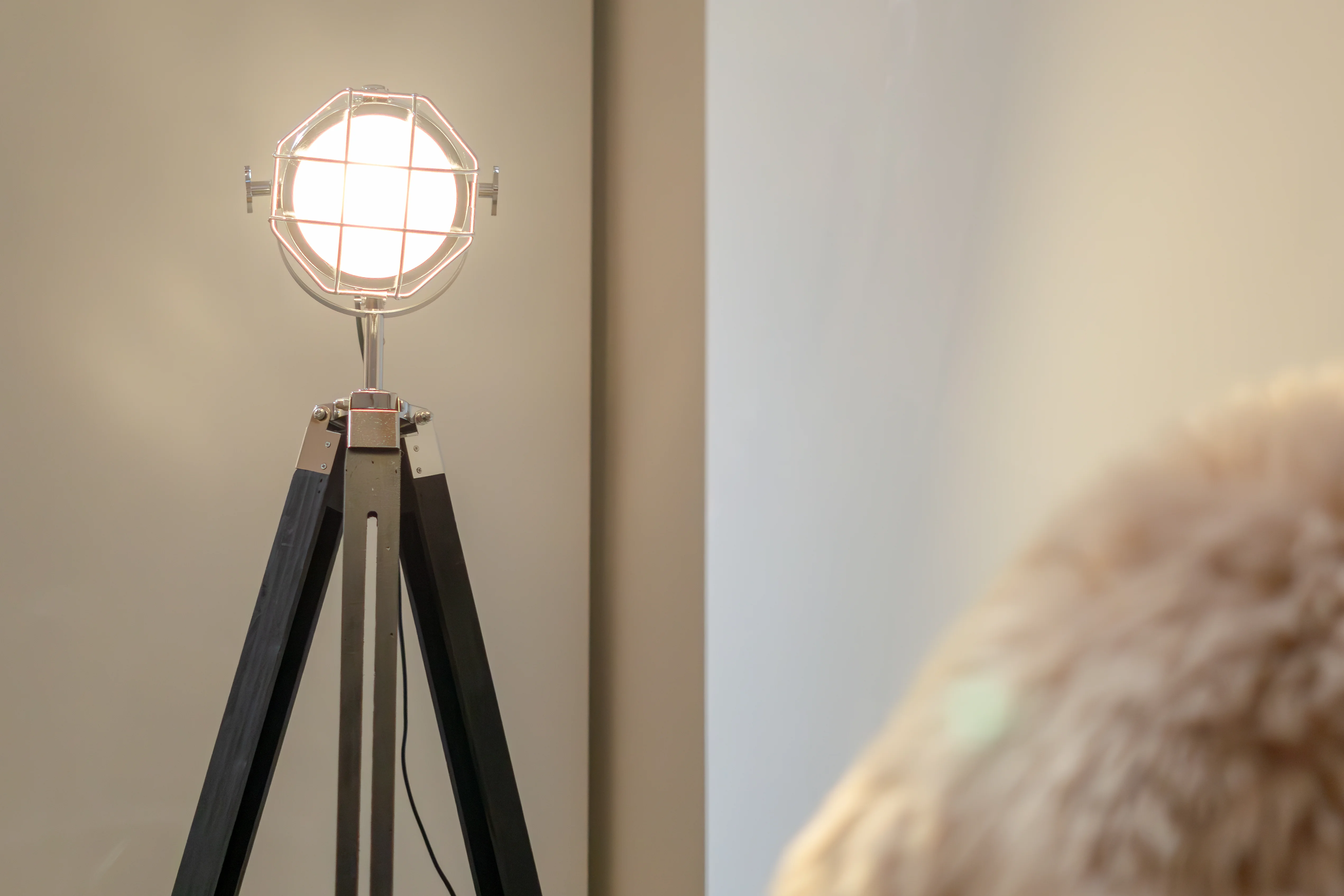 Real Estate – Bild 3