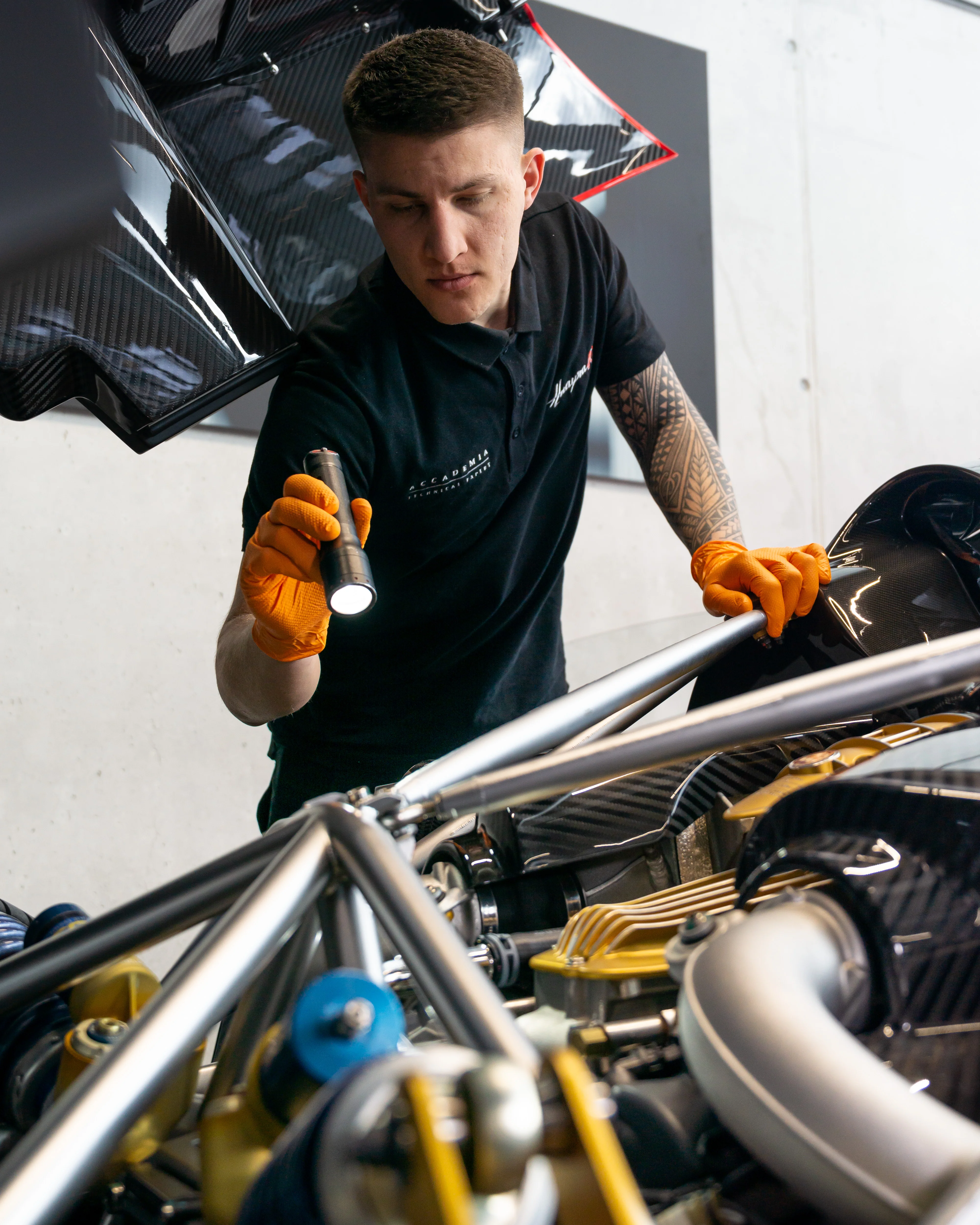 Pagani Puro – Bild 1